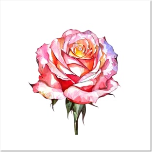 Romantic Orange Pink Hues Isolated Rose Blossom Artistic Watercolor Rose Art Posters and Art